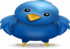 add 14000+ Twitter Followers By Your Profile Link To Larger Your Twitters Follower with in 2 days