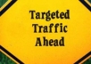 deliver laser targeted TRAFFIC to your websites by making a software and then submit it to 300 very high pagerank directories boosting your rank