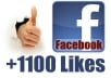 Give You 1100+ Facebook Like Guaranteed To Any Webpage, Photo, Post, Video,Fan Page in less then 24hr