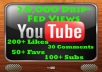 Drip Feed 20,000 Views, 50+ Likes, 100+ Subs, 30+ Favs & up to 30 Comments to Your Youtube Video