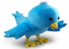 provide you a 100000+ real looking twitter followers in your twitter account without your admin access within 24 hours order now