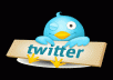 provide you a 35000+ real looking twitter followers in your twitter account without your admin access within 24 hours order now
