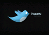 add 30999+ Twitter Followers By Your Profile Link To Larger Your Twitters Follower In 2 Days With-out Your Account Credentials 