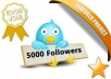 Get u 5,000+ TWITTER Followers Only