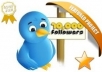 Get u 10,000+  or 10k twitter FOLLOWERS 