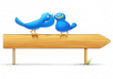 provide ★10,000+ twitter followers★