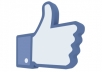 give you 150 REAL Facebook Likes in 24 hours