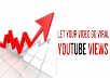 Offer you 111,111 + Views for your youtube video