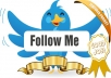 Get 31,000+ [31k] twitter FOLLOWERS