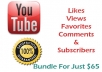 Offer you a BUNDLE YOUTUBE Package with 333k+ views