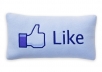 600 REAL FB fan page like or Google +1 or Youtube likes,views,subscribers or Website views or Twitter tweet,Linkedin Shares,Pinterest,Soundcloud