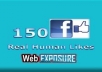 give you 1000 real facebook page likes 100% real 