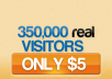 send 350,000 real human visitors to your website