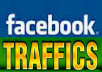 Give you 300 Real Business User facebook like for your fan page