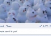 post your message to my 340050+ real facebook followers 
