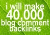 make 40,000 blog comments linkjuice and add 6 high PR social bookmarks like digg, delicious etc