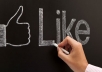give 2500+ facebook page like of orignal users