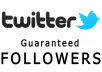give you 200 real twitter followers 