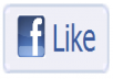 provide you 250 FB website like 