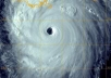 put your website in the eye of the Katrina thus blowing out every single competitor that is on your way 