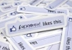 give you 1000 real human FACEBOOK likes in 24hours
