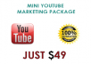 offer Mini Youtube Marketing package With 75k + Views