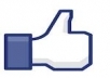 give you 140 real like on your facebook page