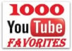 Give u 1,000 Youtube Video FAVORITES from Unique Users