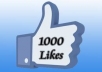 Give You 1000 Real Facebook Likes For Your Fan Page
