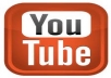 give you 555 + youtube views from real verified people