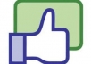 send 400 US facebook fans, real people, no admin access needed, completed in 2 days 