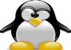 provide a  50+ web 2,0 properties + 5000 social bookmarks LlNKJUICE Penguin Backlinking 