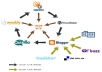 we will providing a 6500+ verified wiki backlink PR2+ edu and gov backlinks + Delivered in 24hours★★100% Verified live links ★ High link diversity powerful link building gig in seoclerks