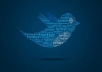 weet your message, ad, promotional link to my 100000+ followers with proof, all within 1 day