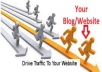 provide 15000 Unique Visitors To Your Site 