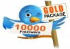 send you 10,000+ Twitter followers