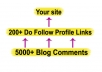 build more than 200 DOFOLLOW Profile Links from high pr forums and create more than 5000 blog comments to them for massive juice to your url 