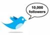 add 10000 twitter followers in your twitterr account within 1 day MAX