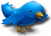 Increase 25,000+++ Real Looking Twitter Followers to Your Account Without Password for 
