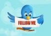 Get you 20 000 REAL Twitter followers
