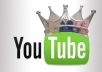 get u 15,000 youtube views in 48hours to any of your video