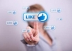 give you 1020 Real facebook likes to your Fanpage within 24 hours 