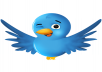 Get you guaranteed 85000+ Twitter Followers to your Twitter Account within 22 hrs