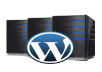 Give you Premium wordpress hosting for 1 year