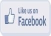 give you 1500 real facebook likes to your fanpage in less than 24 hours without admin access just