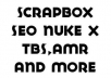 create you an SEO Friendly Linkwheel with SenukeX including all modules