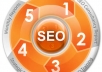 set up you a complete link building campaign for your website thus getting faster rise in the search engines 