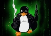 use  latest Link Pyramid structure specifically designed to beat the PENGUIN update 