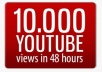give you 20000 youtube views plus 30 likes, 20 subscribers and 10 favorites in Short Time