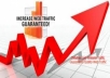 send 300,000 human visitors to your website